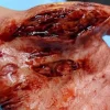 ForensicFX Studios Knife Lacerations Prosthetic Online