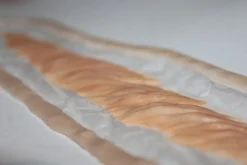 ForensicFX Studios Large Healed Keloid Scar Flash Sale