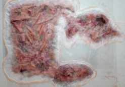 ForensicFX Studios Large Torso Skin Burn Prosthetic Fashion