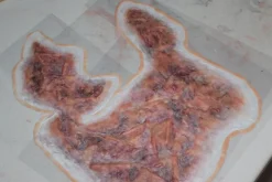 ForensicFX Studios Large Torso Skin Burn Prosthetic Fashion