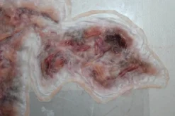 ForensicFX Studios Large Torso Skin Burn Prosthetic Fashion