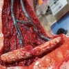 ForensicFX Studios Open Collarbone Wound Prosthetic Clearance