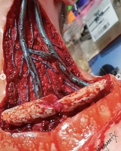 ForensicFX Studios Open Collarbone Wound Prosthetic Clearance