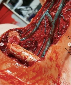ForensicFX Studios Open Collarbone Wound Prosthetic Clearance