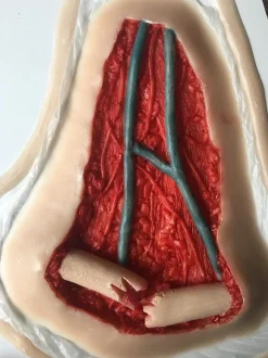 ForensicFX Studios Open Collarbone Wound Prosthetic Clearance