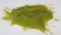 ForensicFX Studios Phlegm/Mucous Makeup Effect Gel Shop