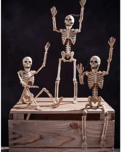 Fun World Posable Skeleton 36Cm Cheap