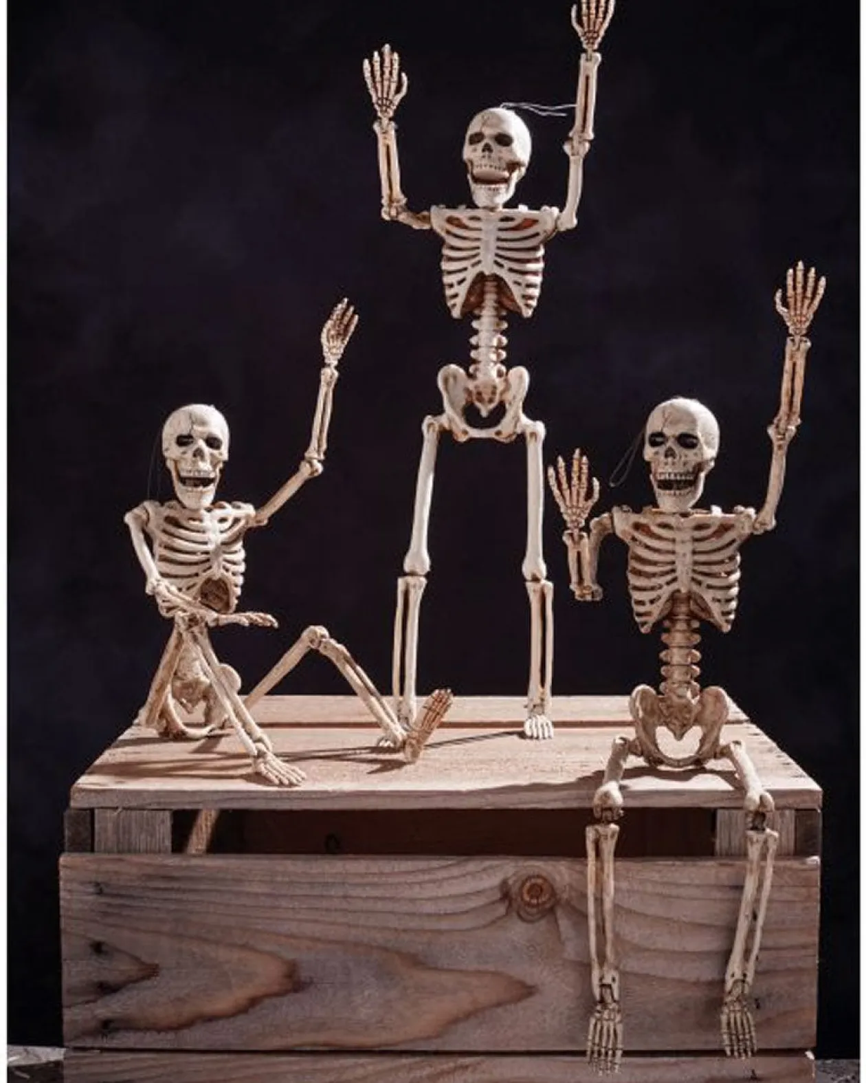 Fun World Posable Skeleton 36Cm Cheap