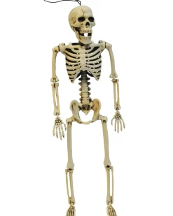 Fun World Posable Skeleton 36Cm Cheap