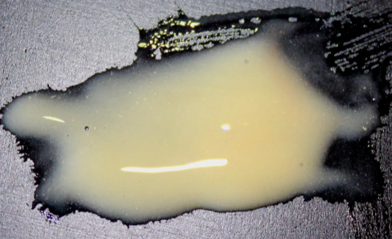 ForensicFX Studios Pus Makeup Effect Gel Sale