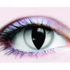 Tomfoolery Reptile Primal 14.5Mm Grey Contact Lenses Flash Sale