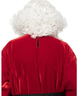 * Santa Professional Wig And Beard Set Online