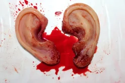 ForensicFX Studios Severed Body Parts Bundle Clearance