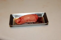 ForensicFX Studios Severed Finger Prop On Medical Metal Tray Shop