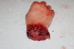 ForensicFX Studios Severed Hand Prop New