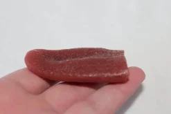 ForensicFX Studios Severed Tongue Prop Cheap