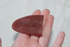 ForensicFX Studios Severed Tongue Prop Cheap