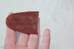 ForensicFX Studios Severed Tongue Prop Cheap