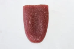 ForensicFX Studios Severed Tongue Prop Cheap