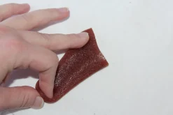 ForensicFX Studios Severed Tongue Prop Cheap