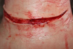 ForensicFX Studios Simple Slit Throat Prosthetic Best