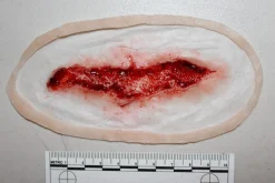 ForensicFX Studios Simple Wound Prosthetic Store