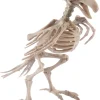 Fun World Skele-Bird 20Cm Discount