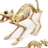 Joyin Skeleton Cat And Rat Set Best Sale