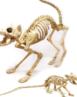Joyin Skeleton Cat And Rat Set Best Sale