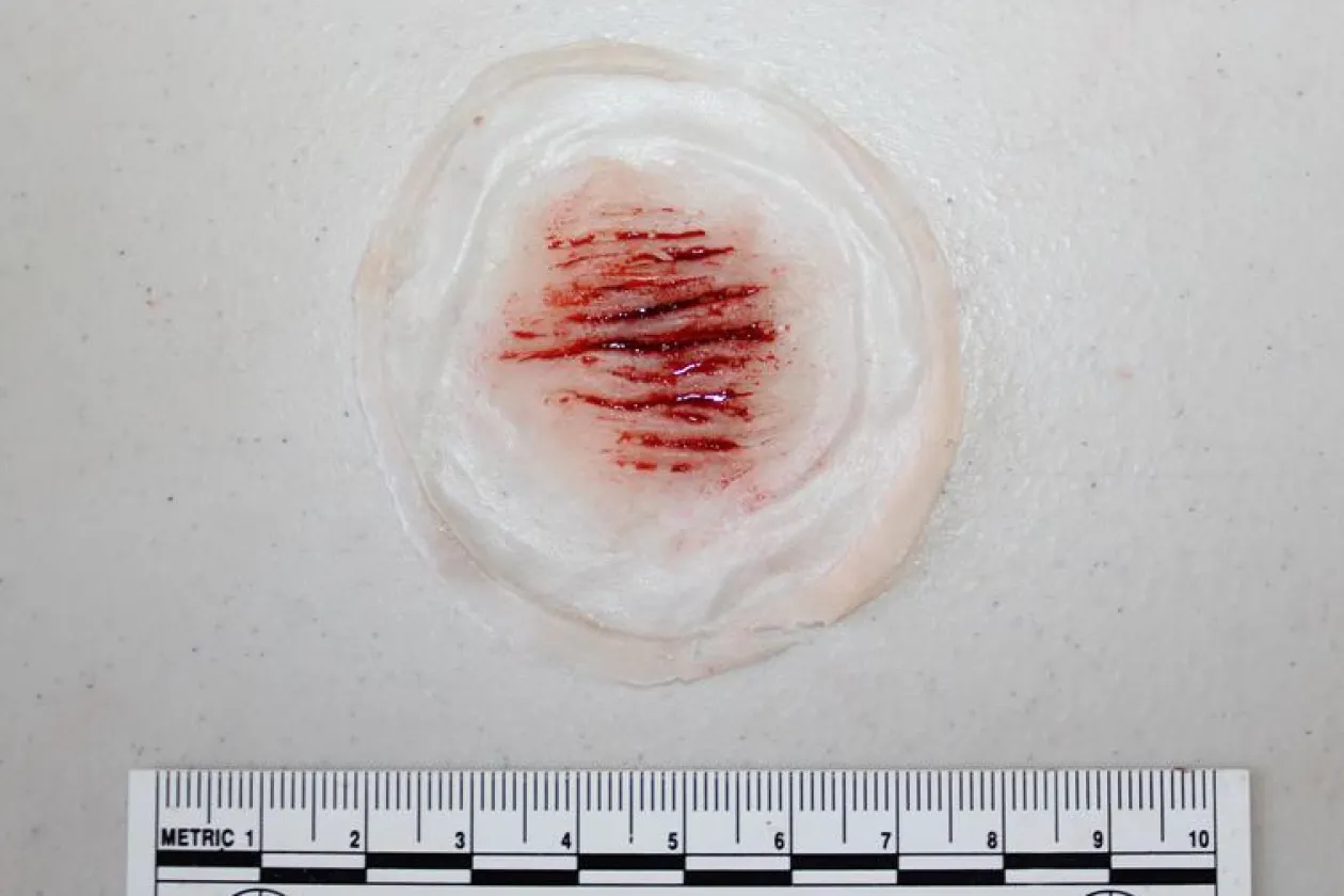 ForensicFX Studios Small Cuts Prosthetic Shop