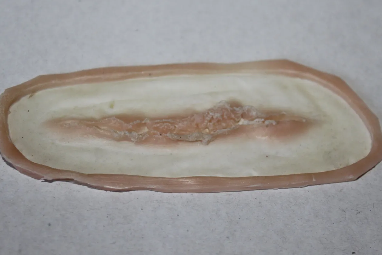 ForensicFX Studios Small Linear Gash Prosthetic Best