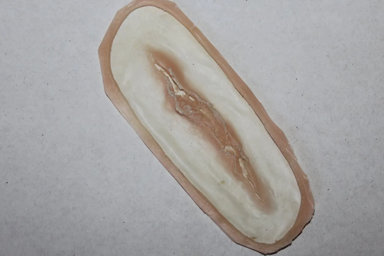 ForensicFX Studios Small Linear Gash Prosthetic Best