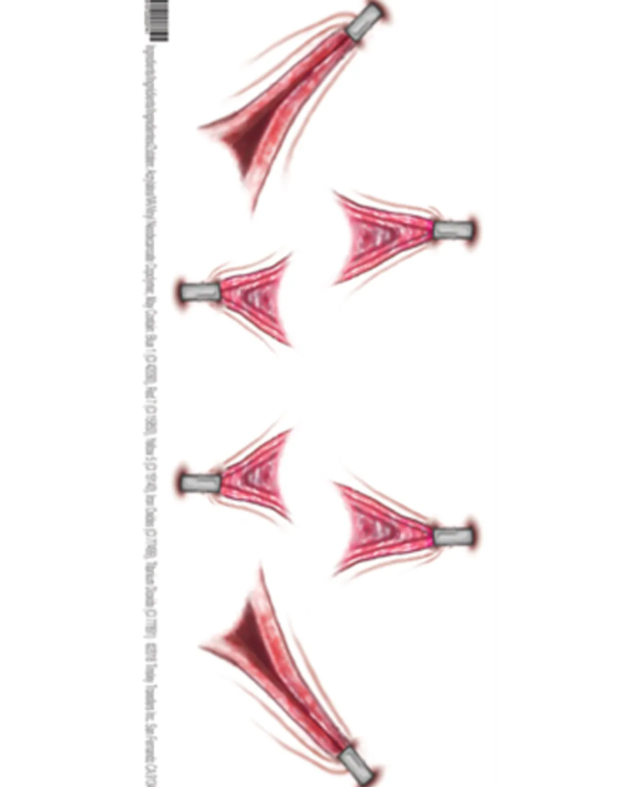 Tinsley Transfers Stretched Skin Fx Trauma Tattoo Fashion