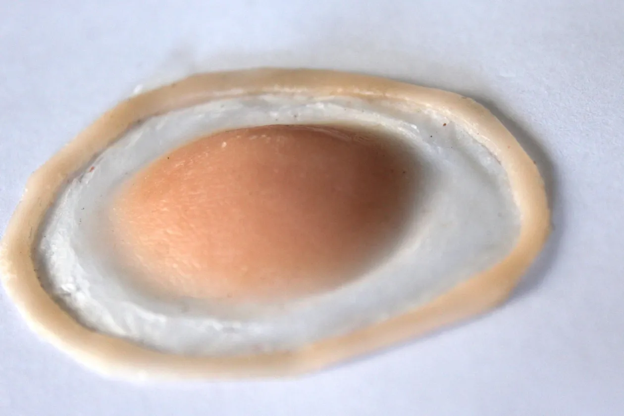 ForensicFX Studios Swollen Upper Eyelid Prostheitc Sale