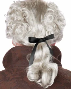California Costumes 18Th Century Historical Grey Wig Sale