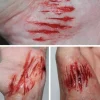 ForensicFX Studios Thin Cuts Prosthetic Bundle Hot