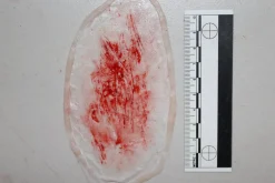 ForensicFX Studios Thin Scrapes Prosthetic Shop