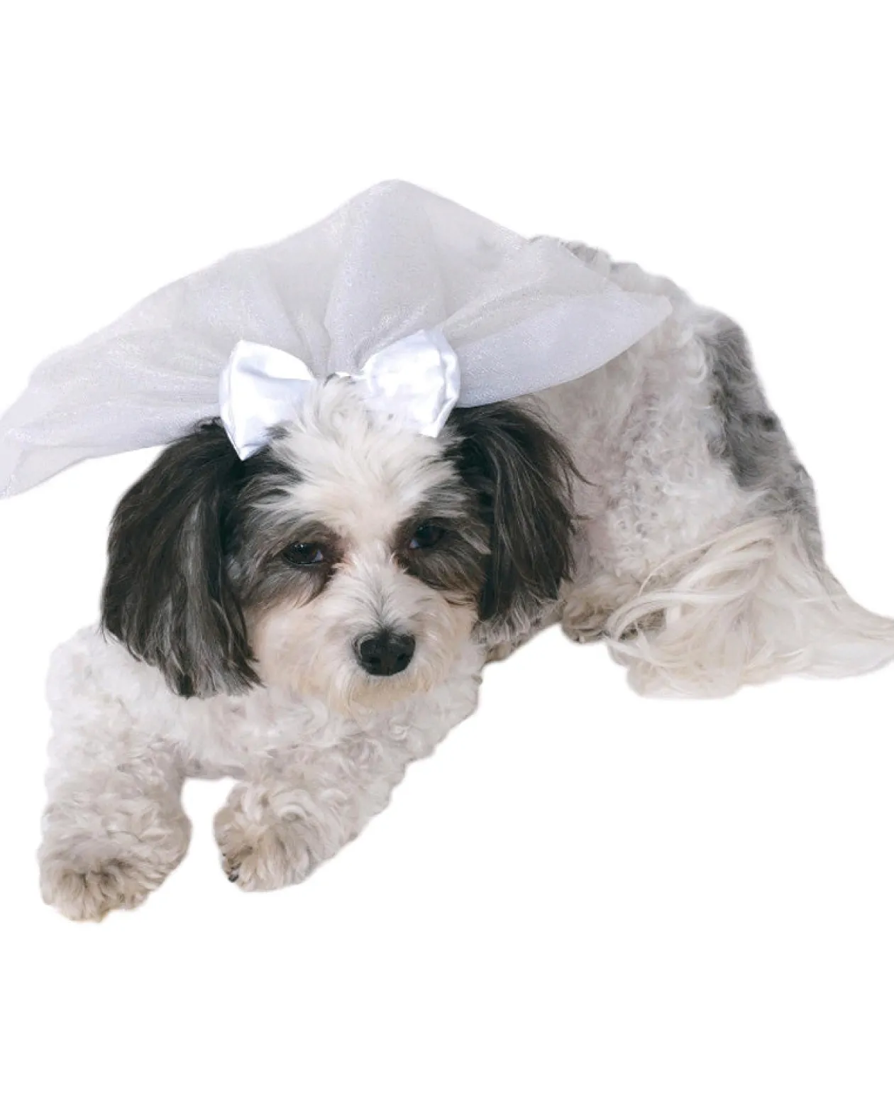 Rubies Wedding Veil Pet Costume Best Sale