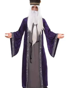 Tomfoolery Wizard Mens Plus Size Costume Best Sale