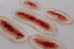 ForensicFX Studios 5X Slashed Cuts Bundle New